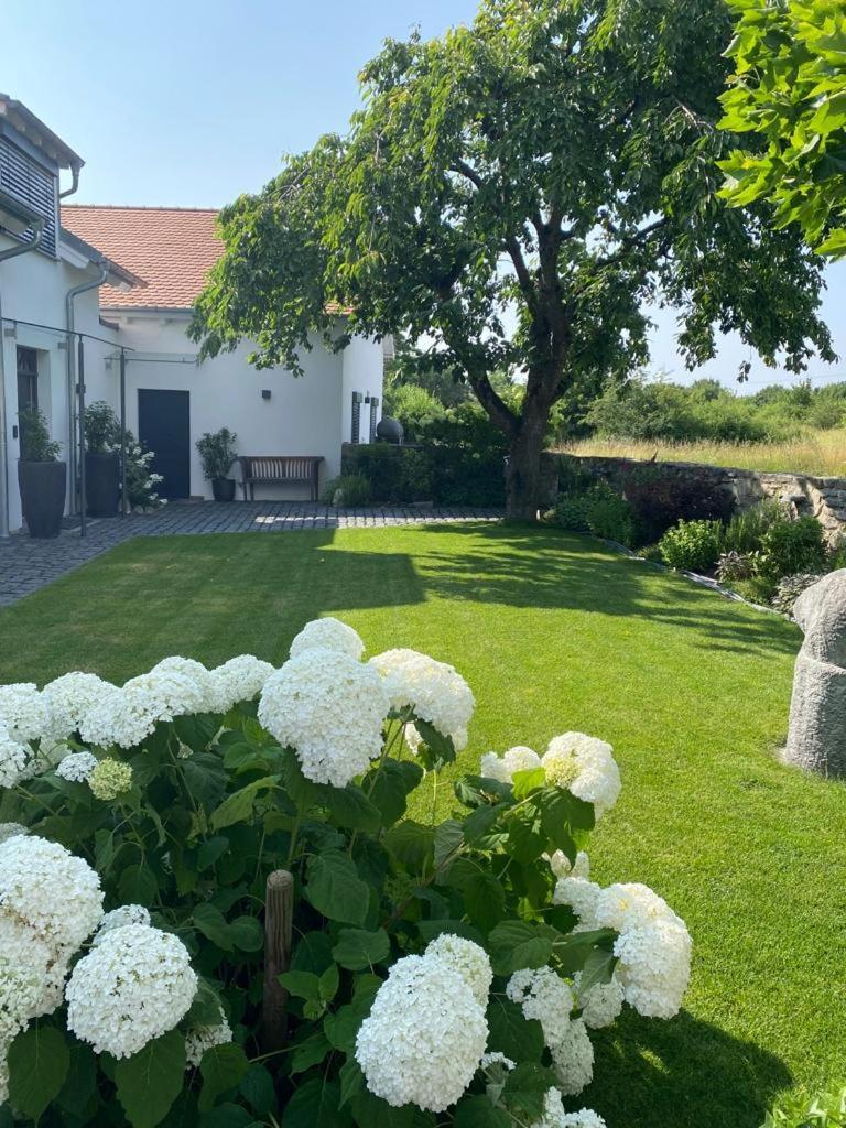 Apartamento Colle Divino Wurzburgo Exterior foto