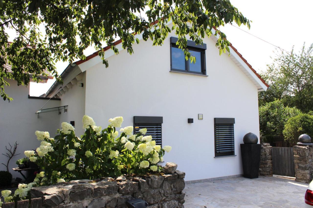 Apartamento Colle Divino Wurzburgo Exterior foto